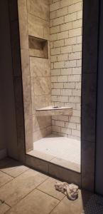 Royal Oaks Lot 16 Guest Shower 1.jpg