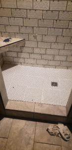 Royal Oaks Lot 16 Guest Shower 2.jpg
