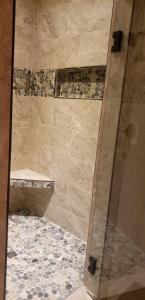 Royal Oaks Lot 16 Master Shower 4.jpg